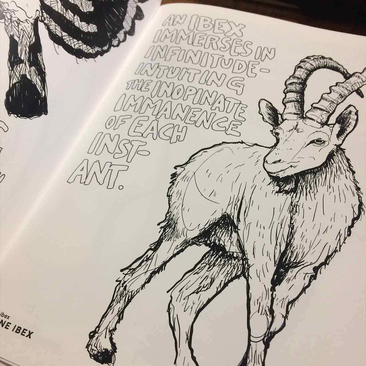 Esoteric Animal Coloring Book