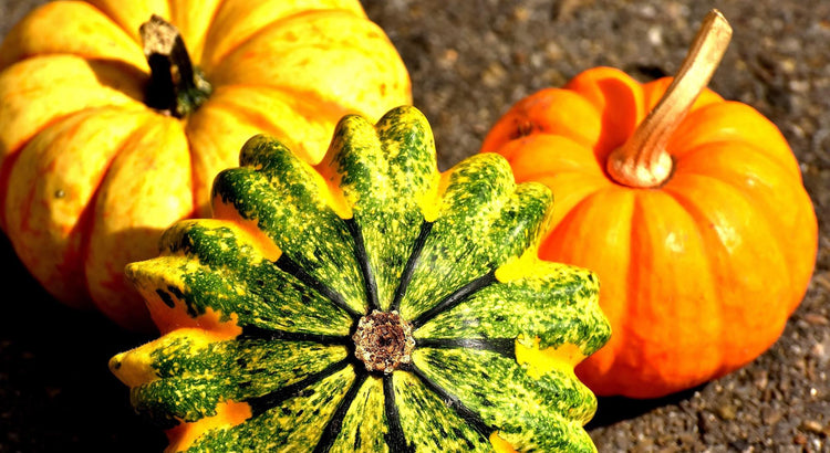 color it | test test url