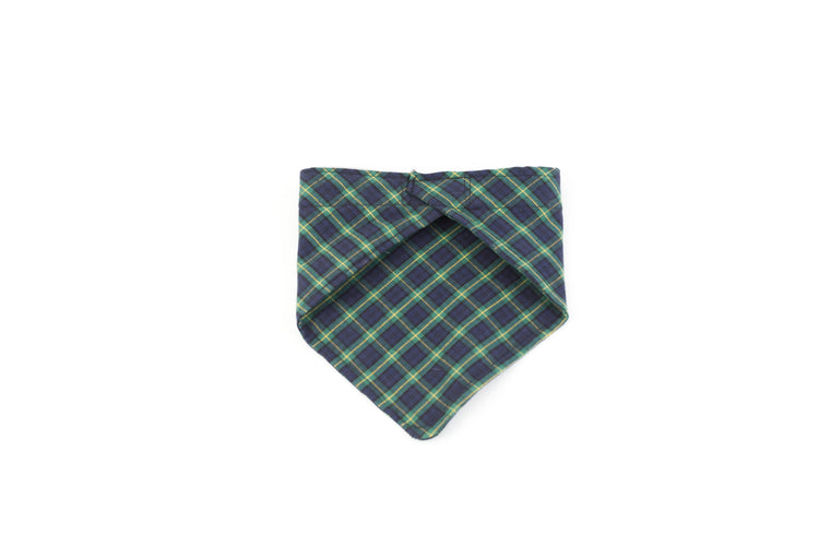 Back Of Plaid Bandana - Sillycube Demo Shop